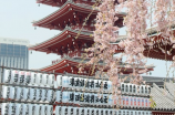 清水寺：日本京都的古老佛教圣地